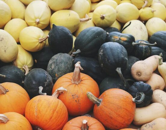 pumpkin nutrients calories protein carbohydrates