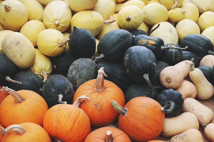 pumpkin nutrients calories protein carbohydrates